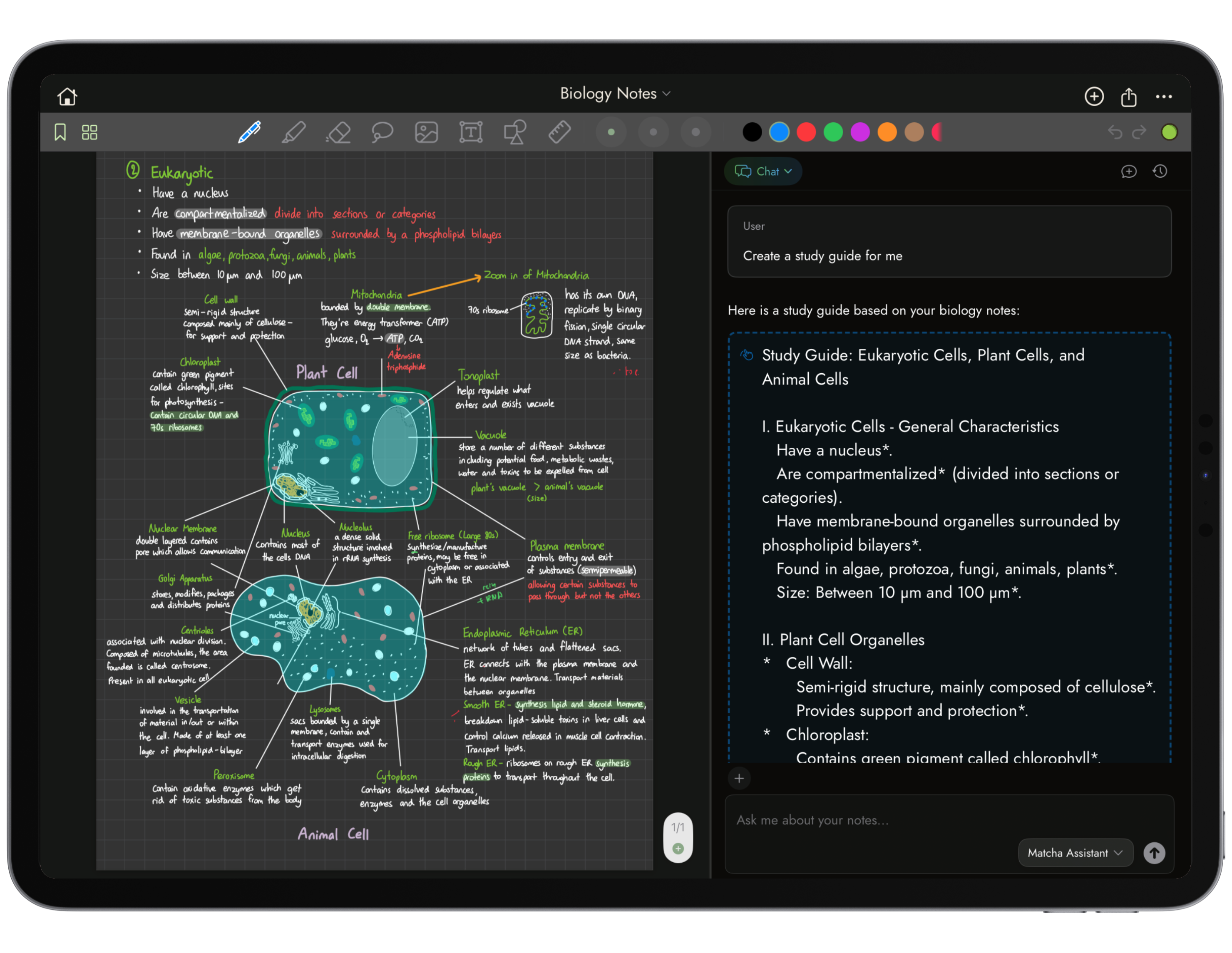 Matcha Note App Display